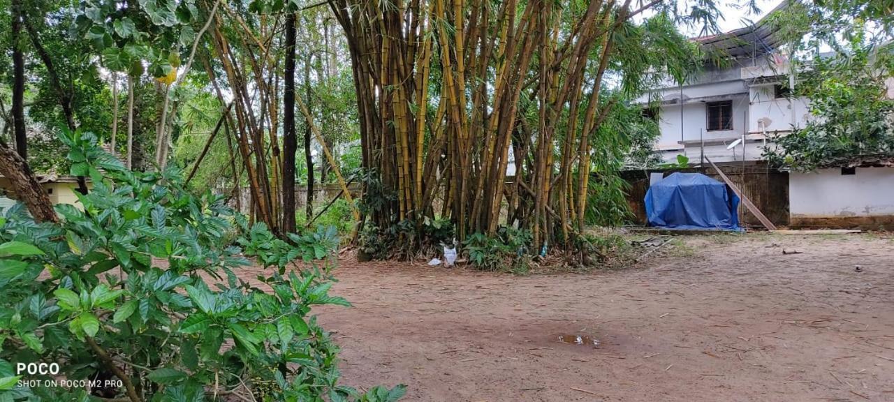 Kottaram Heritage Resort Alappuzha Ngoại thất bức ảnh