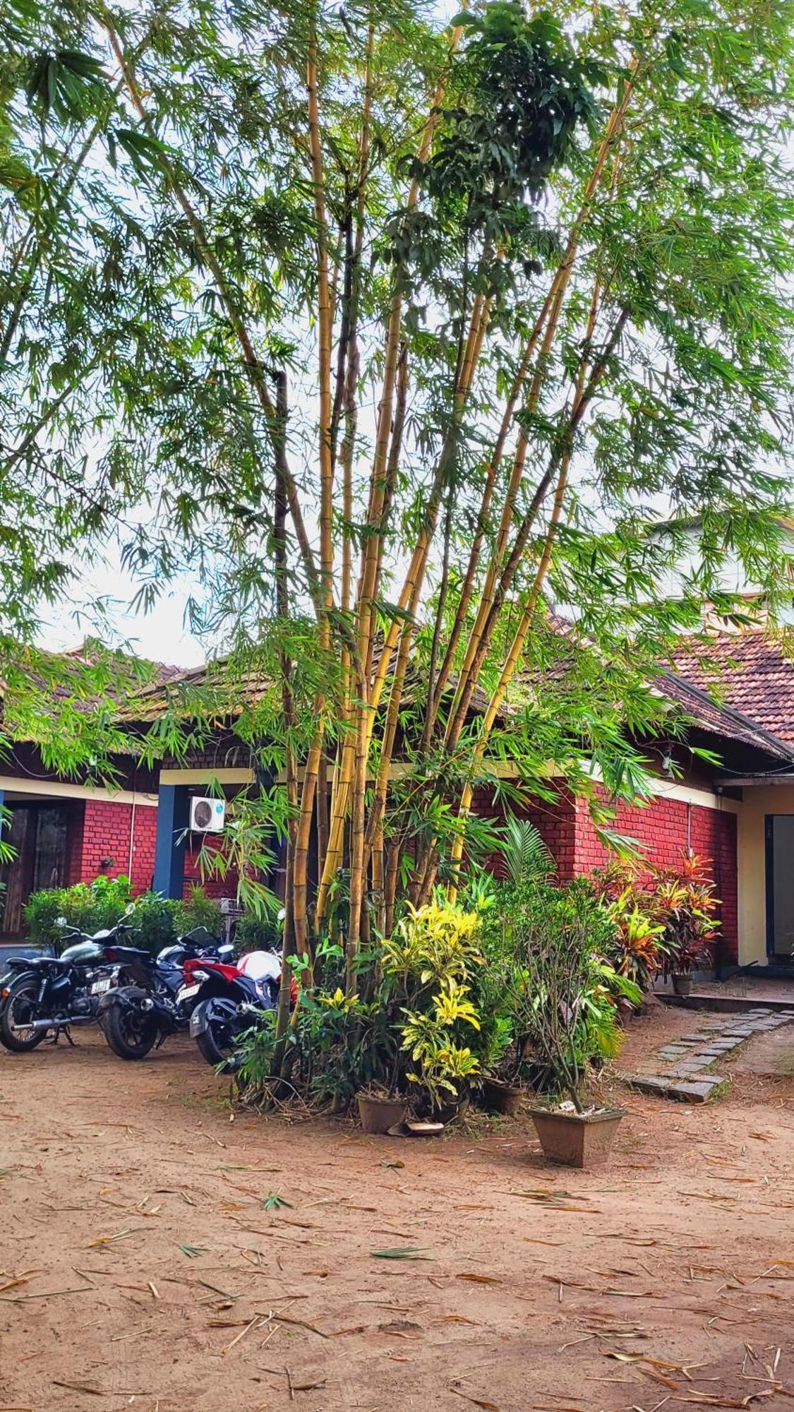 Kottaram Heritage Resort Alappuzha Ngoại thất bức ảnh